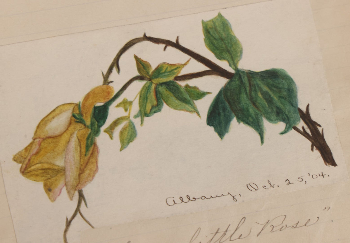 Lot 064 - Antique Snapshot Photo Album Scrapbook Contained In A Record Ledger With 40+ Photos And Scraps, With Handwritten Enscriptions, Including Interior Photos, Outdoor Photos, And More, Circa 1900, Hand Drawn Flower Scraps