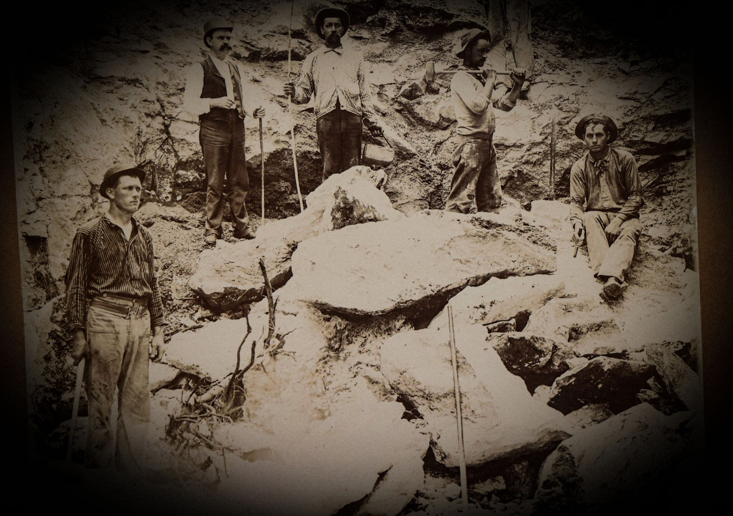 5/29/2025 AUCTION PHOTO GALLERY