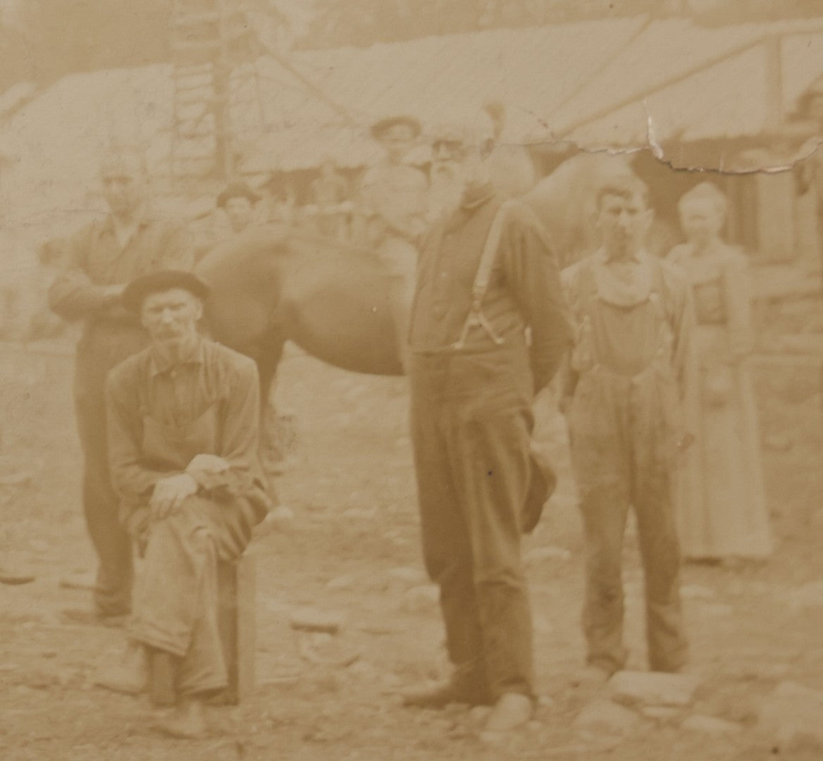 Lot 068 - Antique Boarded Occupational Photograph Of Group Of Lumber Workers Posing At A Lumber Camp In Mifflin County, Pennsylvania, Partial Identification On Verso Of "Grandpa Hoff", Bicycle And Horse In Photo, Note Cracking And Wear