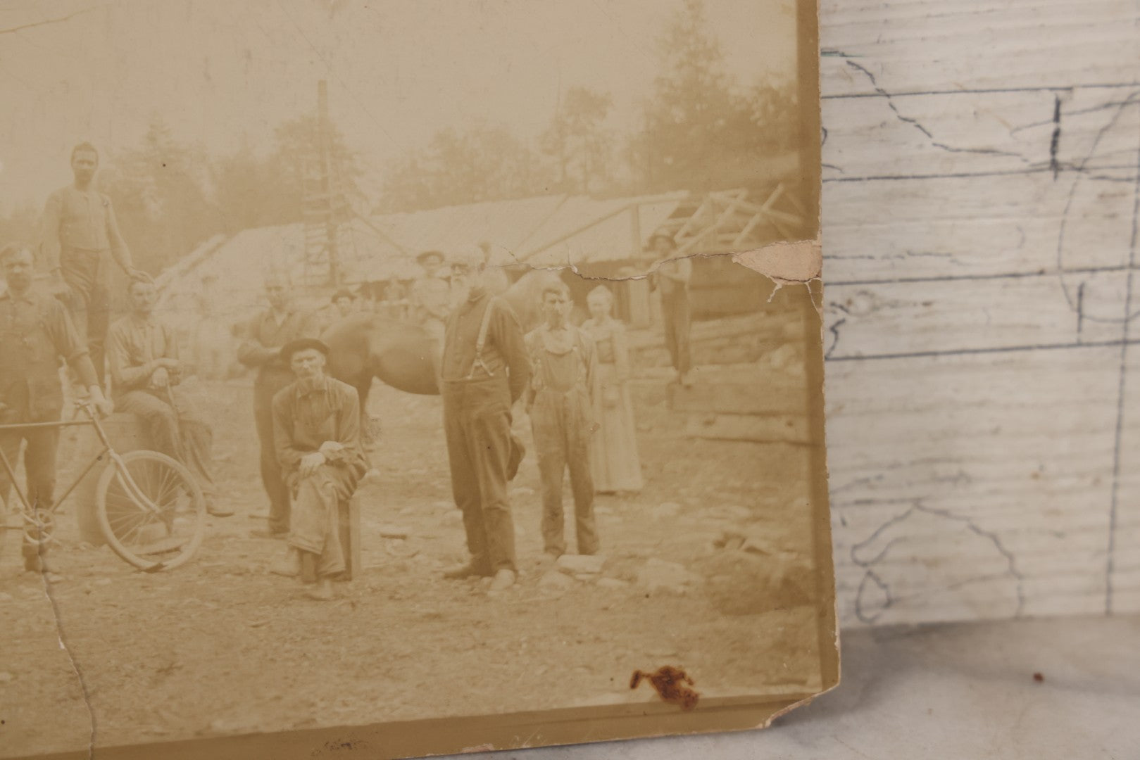 Lot 068 - Antique Boarded Occupational Photograph Of Group Of Lumber Workers Posing At A Lumber Camp In Mifflin County, Pennsylvania, Partial Identification On Verso Of "Grandpa Hoff", Bicycle And Horse In Photo, Note Cracking And Wear