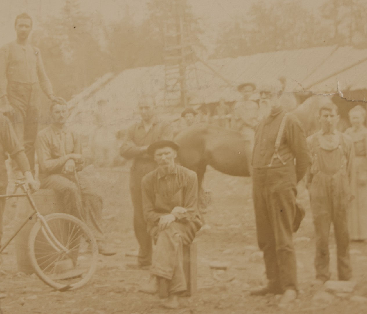 Lot 068 - Antique Boarded Occupational Photograph Of Group Of Lumber Workers Posing At A Lumber Camp In Mifflin County, Pennsylvania, Partial Identification On Verso Of "Grandpa Hoff", Bicycle And Horse In Photo, Note Cracking And Wear