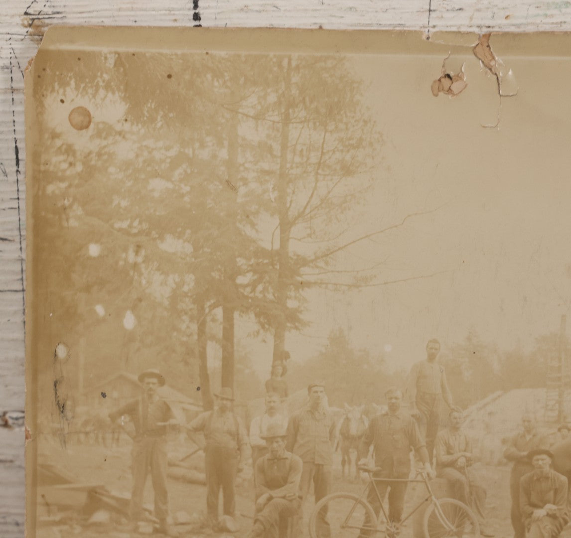 Lot 068 - Antique Boarded Occupational Photograph Of Group Of Lumber Workers Posing At A Lumber Camp In Mifflin County, Pennsylvania, Partial Identification On Verso Of "Grandpa Hoff", Bicycle And Horse In Photo, Note Cracking And Wear