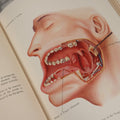 Lot 002 - "Atlas Of Typical Operations In Surgery" Antique Book By Dr. Ph. Bockenheimer & Dr. Fritz Frohse, With 60 Full Color Illustrations By Franz Frohse, English Adaptation By J. Howell Evans, Rebman Company, New York, Publishers, Circa 1900