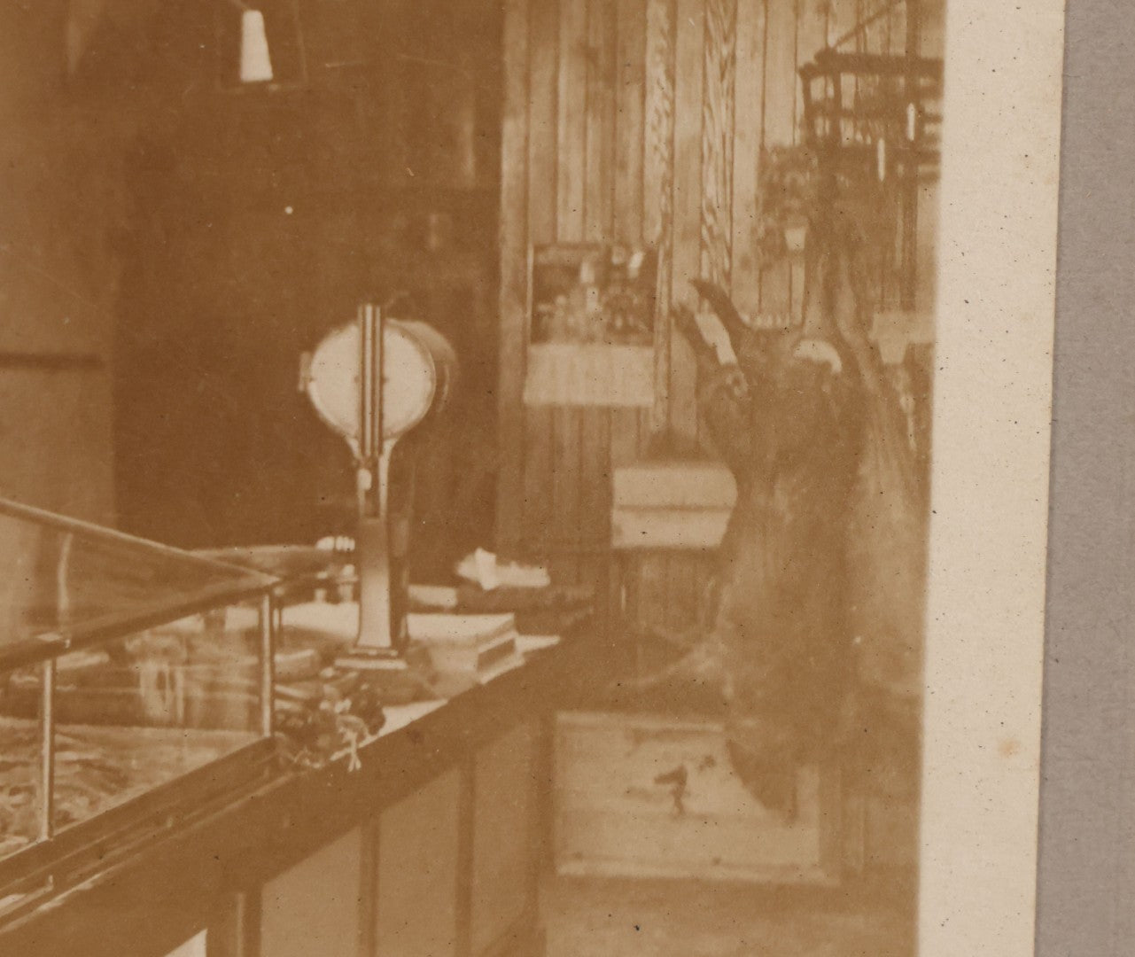 Lot 077 - Antique Boarded Occupational Photograph Of Two Butchers Behind Counter, With Sausage, Full Pig, And Other Meat Products Visible In Photo, And Large Commercial Scale