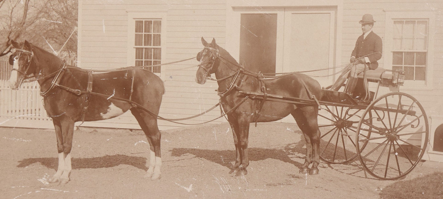 Lot 084 - Antique Boarded Photograph Of Man Sitting In Horsedrawn Carriage With Two Horses In Front Of A Home With Doghouse, Photographed By Jewett, Orange, New Jersey