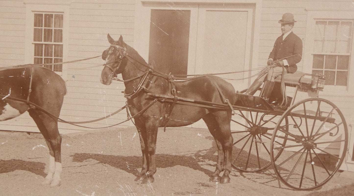 Lot 084 - Antique Boarded Photograph Of Man Sitting In Horsedrawn Carriage With Two Horses In Front Of A Home With Doghouse, Photographed By Jewett, Orange, New Jersey