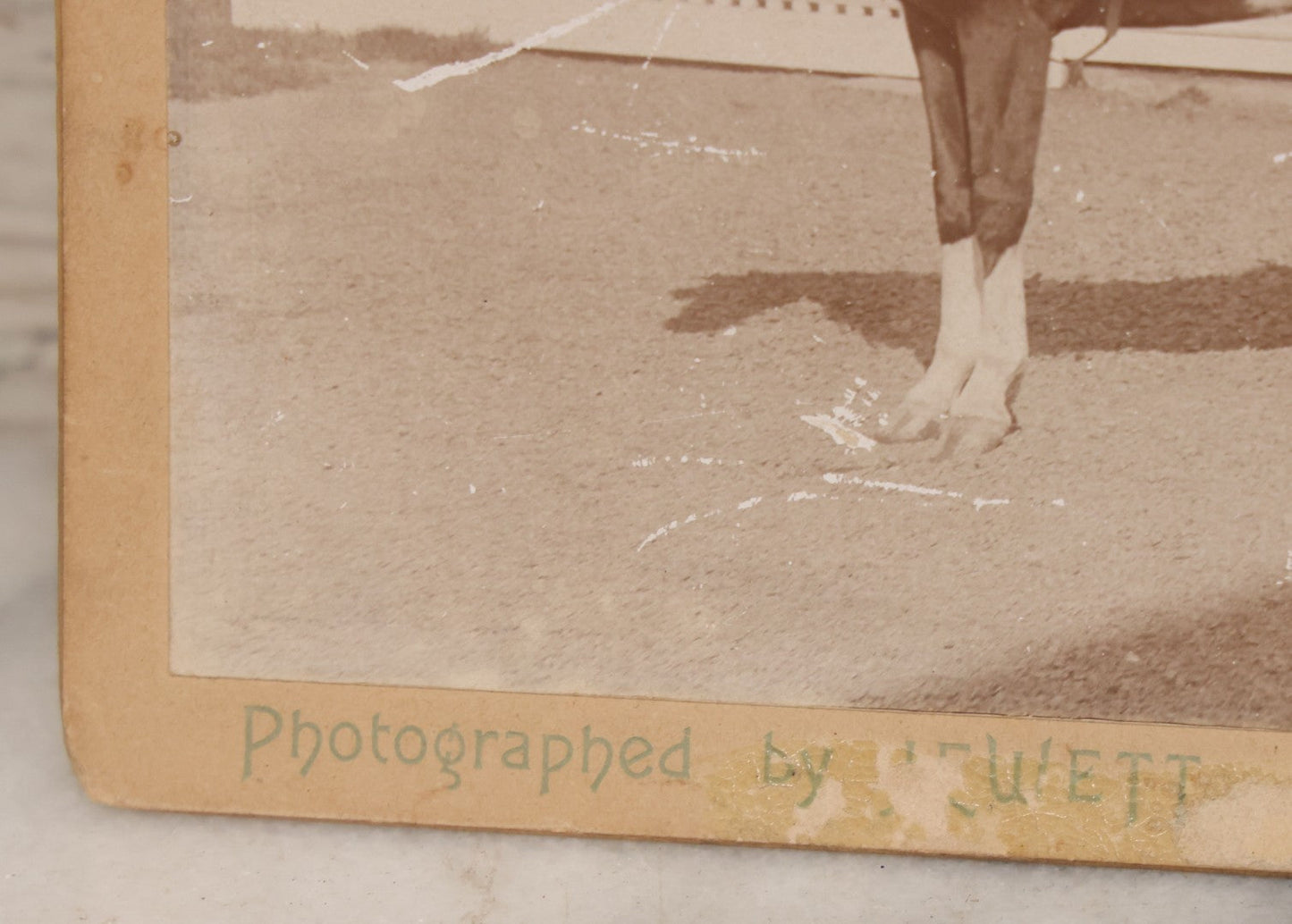 Lot 084 - Antique Boarded Photograph Of Man Sitting In Horsedrawn Carriage With Two Horses In Front Of A Home With Doghouse, Photographed By Jewett, Orange, New Jersey