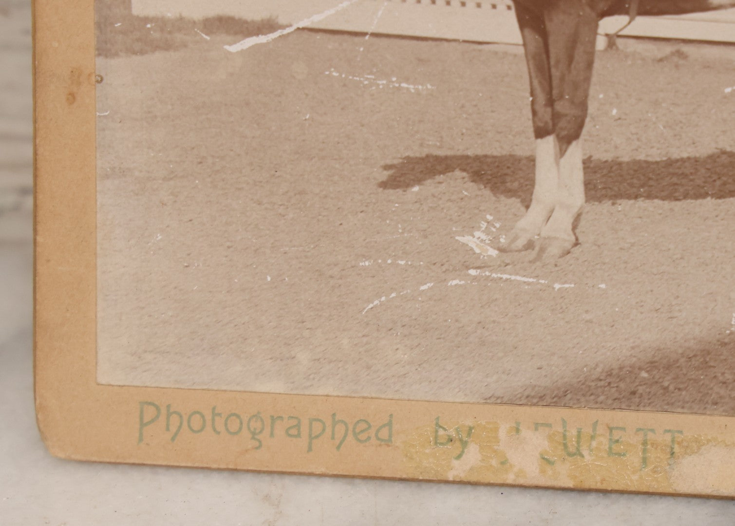 Lot 084 - Antique Boarded Photograph Of Man Sitting In Horsedrawn Carriage With Two Horses In Front Of A Home With Doghouse, Photographed By Jewett, Orange, New Jersey