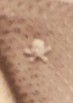 Lot 125 - Pair Of Antique Photos Of Same Man Wearing Peculiar Spectacles With Skull And Crossbones Tie Tack Pin, Cabinet Card And C.D.V., George H. Hastings, Photographer, Newton, Massachusetts