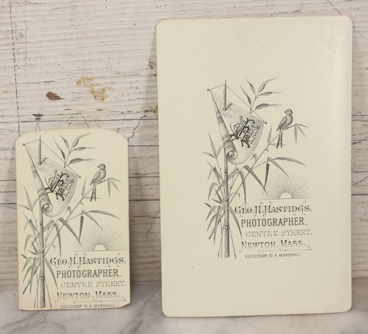 Lot 125 - Pair Of Antique Photos Of Same Man Wearing Peculiar Spectacles With Skull And Crossbones Tie Tack Pin, Cabinet Card And C.D.V., George H. Hastings, Photographer, Newton, Massachusetts