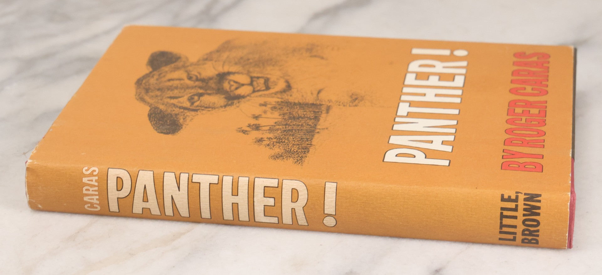 Lot 155 - "Panther!" Vintage Book By Rodger Caras, With Illustrations By Charles Frace, Little Brown And Company, Publishers, Boston And Toronto, 1969, Third Printing, With Original Dust Jacket