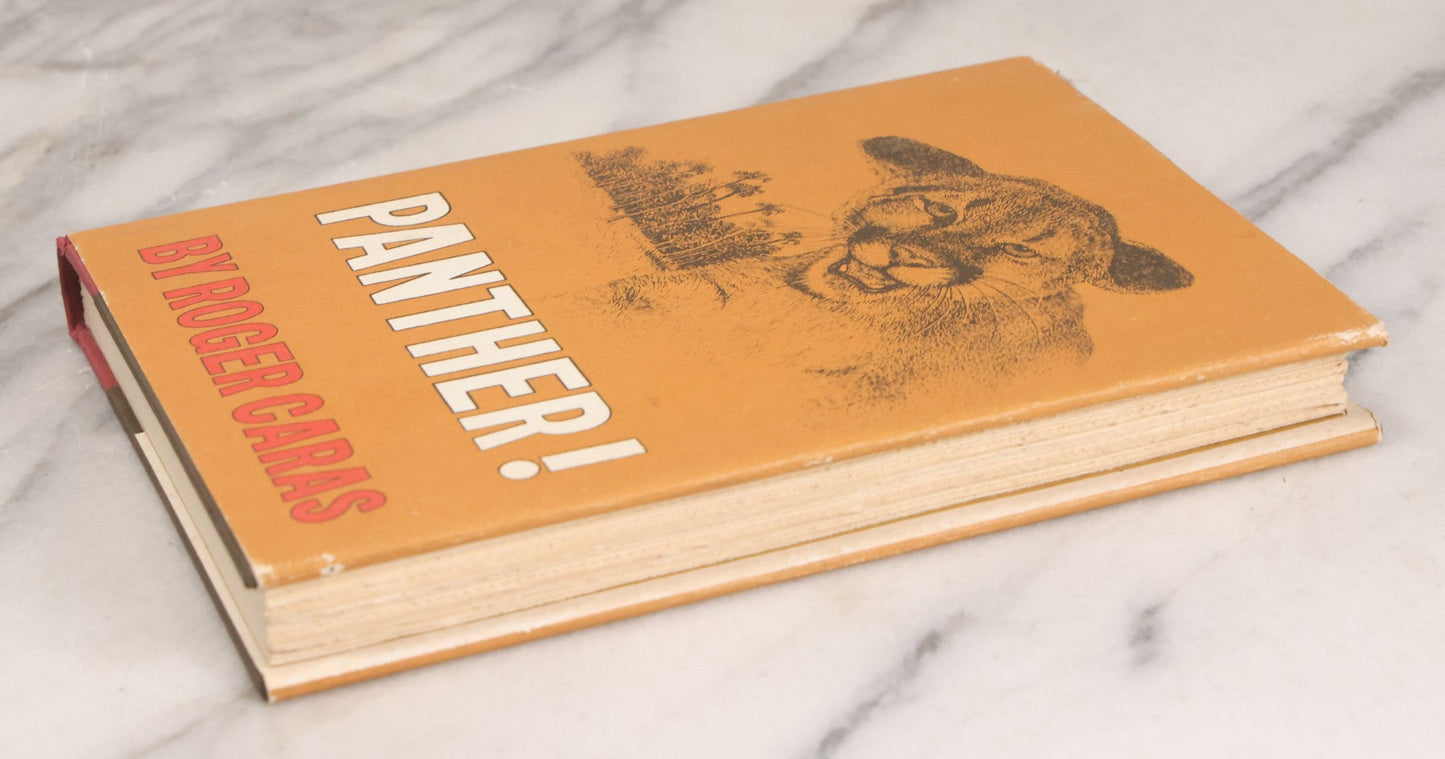 Lot 155 - "Panther!" Vintage Book By Rodger Caras, With Illustrations By Charles Frace, Little Brown And Company, Publishers, Boston And Toronto, 1969, Third Printing, With Original Dust Jacket