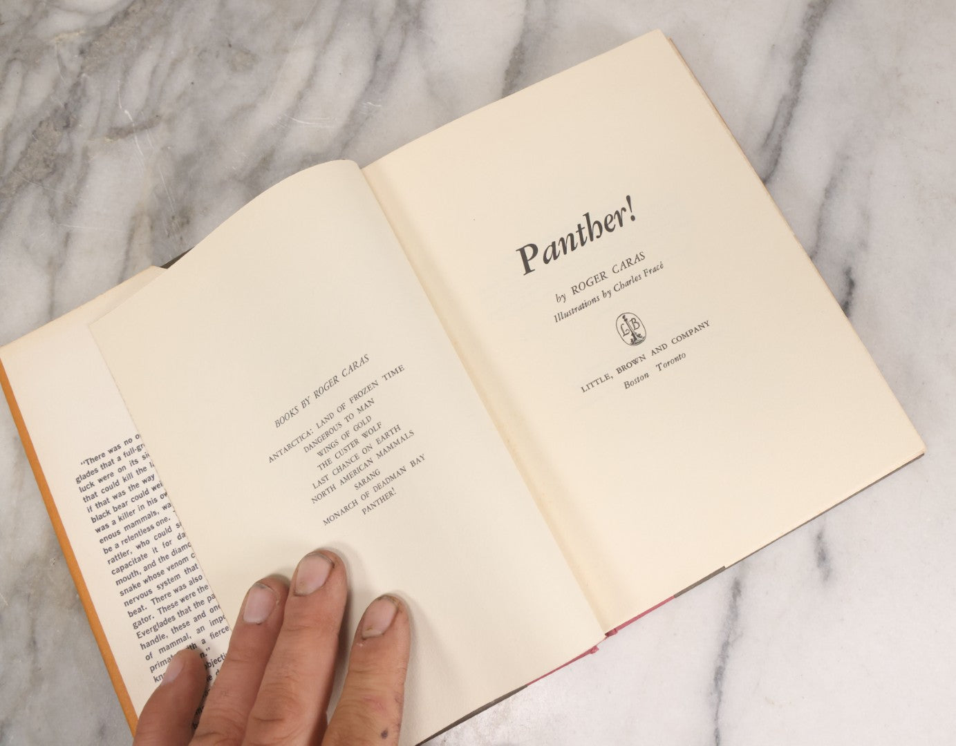 Lot 155 - "Panther!" Vintage Book By Rodger Caras, With Illustrations By Charles Frace, Little Brown And Company, Publishers, Boston And Toronto, 1969, Third Printing, With Original Dust Jacket