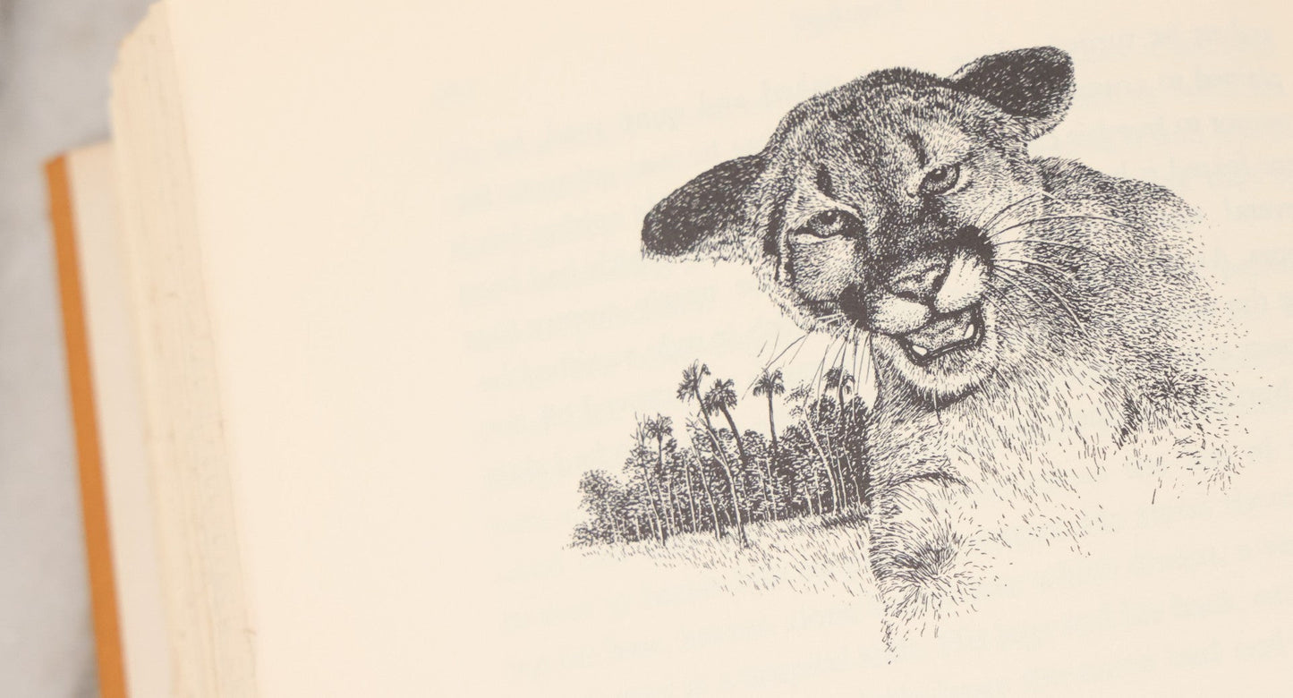 Lot 155 - "Panther!" Vintage Book By Rodger Caras, With Illustrations By Charles Frace, Little Brown And Company, Publishers, Boston And Toronto, 1969, Third Printing, With Original Dust Jacket