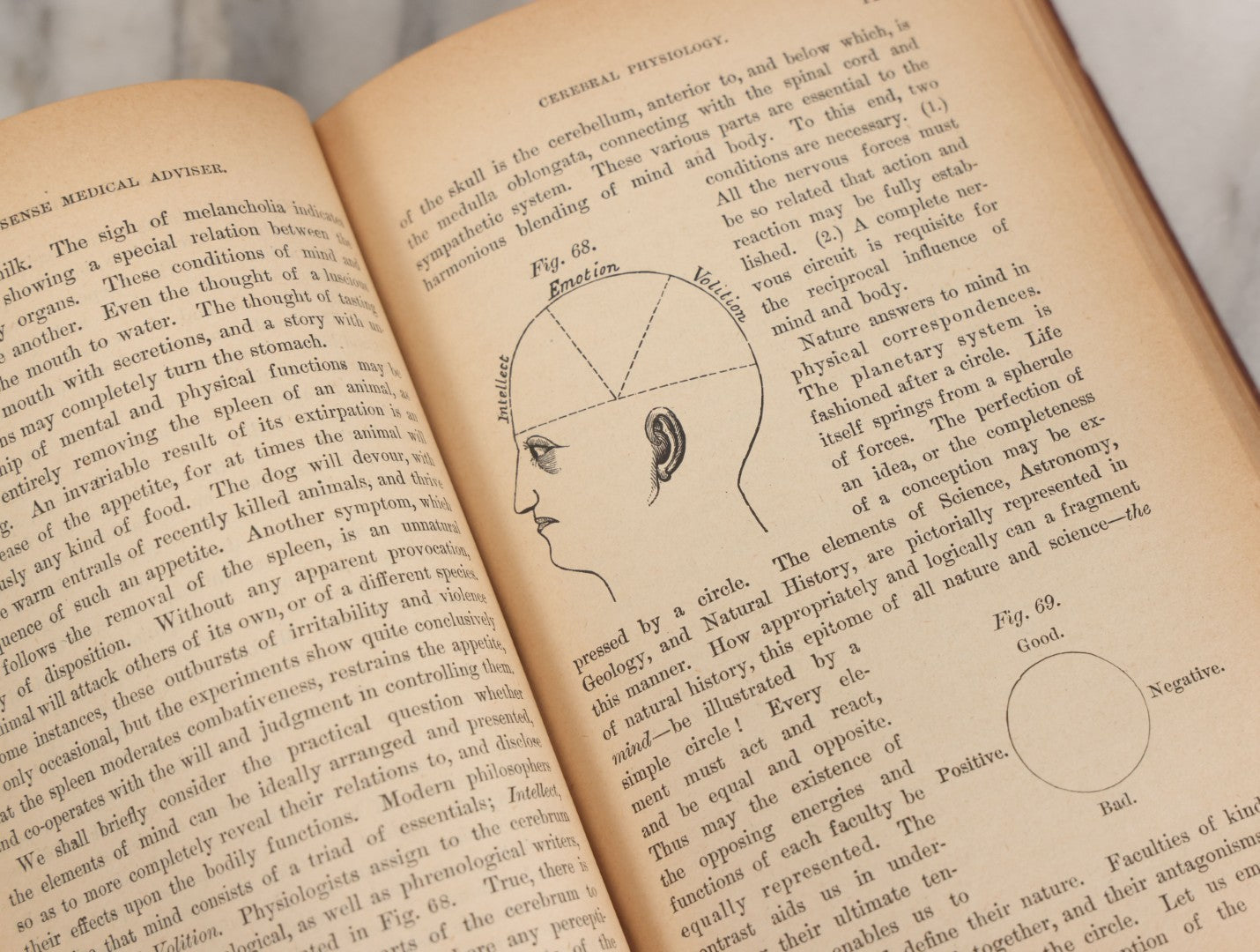 Lot 003 - "The People's Common Sense Medical Adviser In Plain English; Or Medicine Simplified" Antique Book By R.V. Pierce, M.D., 21st Edition, Illustrated, 1889