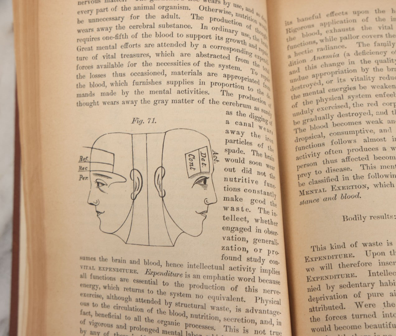 Lot 003 - "The People's Common Sense Medical Adviser In Plain English; Or Medicine Simplified" Antique Book By R.V. Pierce, M.D., 21st Edition, Illustrated, 1889
