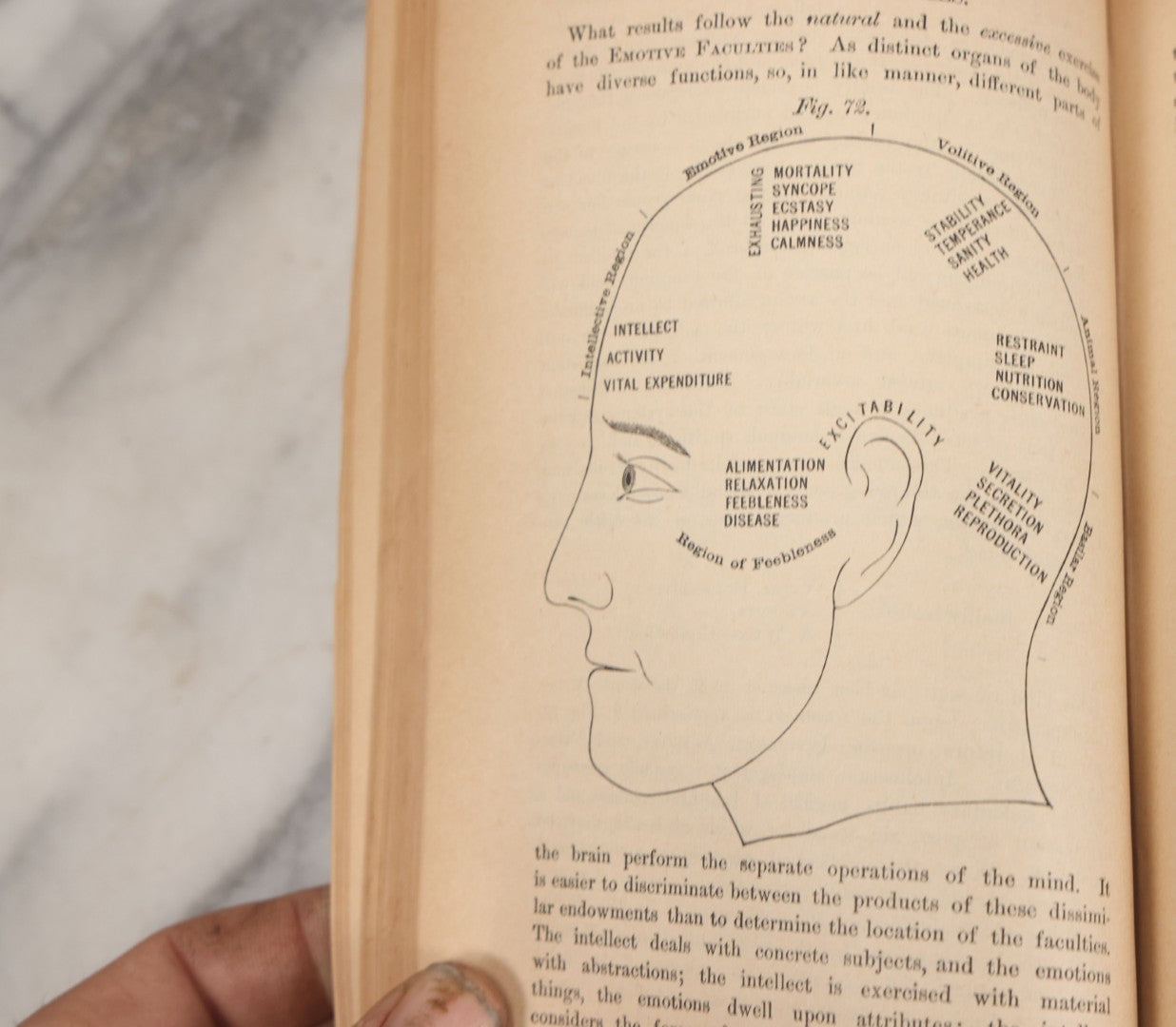 Lot 003 - "The People's Common Sense Medical Adviser In Plain English; Or Medicine Simplified" Antique Book By R.V. Pierce, M.D., 21st Edition, Illustrated, 1889