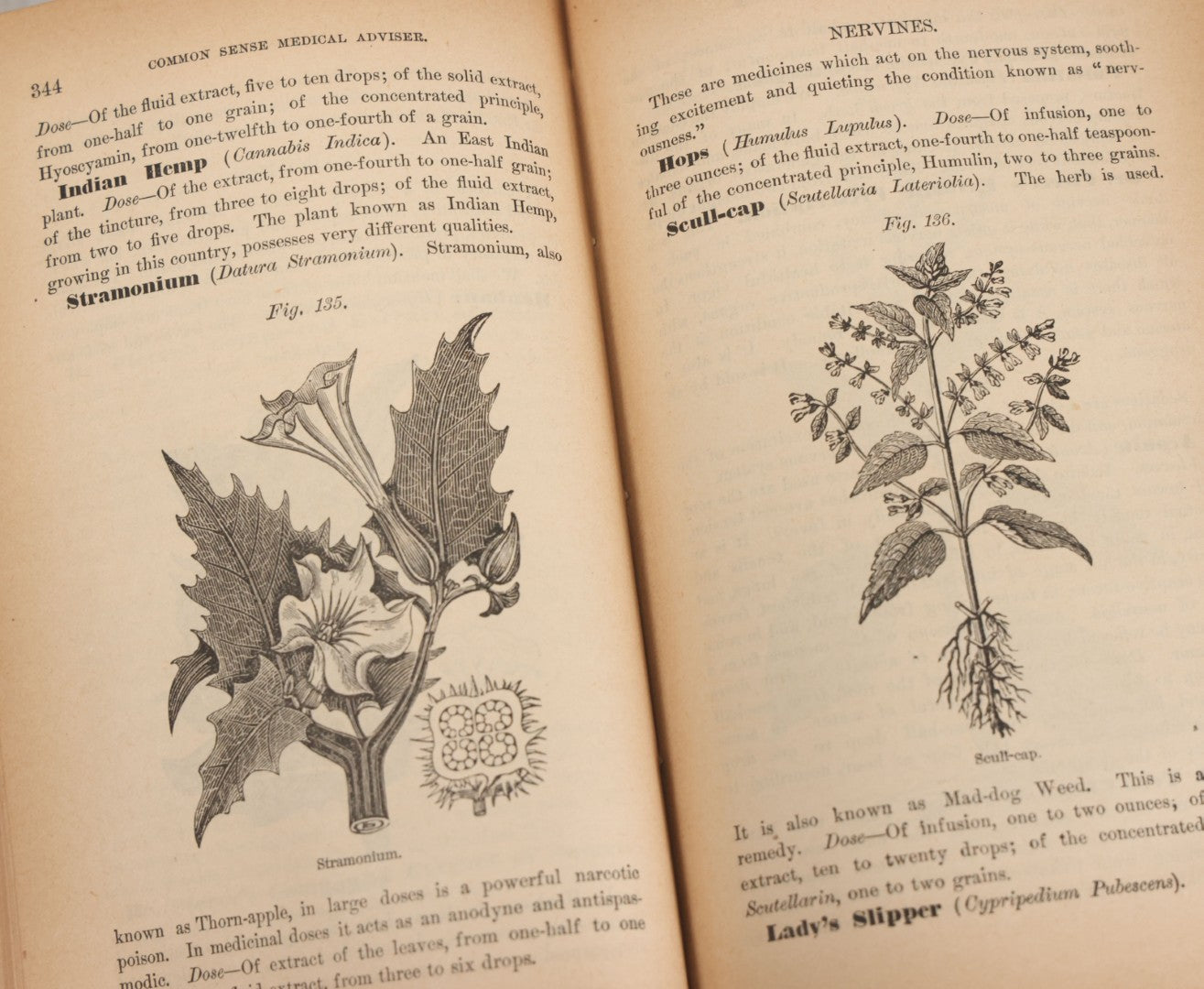 Lot 003 - "The People's Common Sense Medical Adviser In Plain English; Or Medicine Simplified" Antique Book By R.V. Pierce, M.D., 21st Edition, Illustrated, 1889