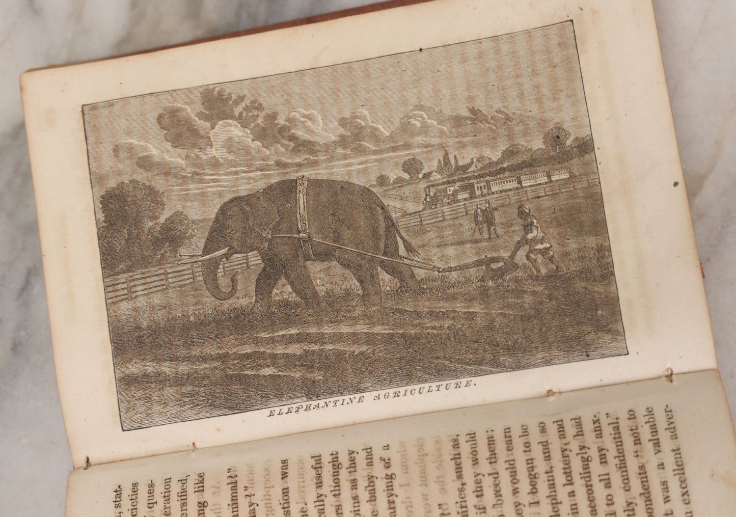 Lot 004 - "Struggles And Triumphs; Or, Forty Years' Recollections Of P.T. Barnum, Written By Himself" Antique Book By The Greatest Showman, P.T. Barnum, Author's Edition, Illustrated, American News Company, Publisher, New York, 1871
