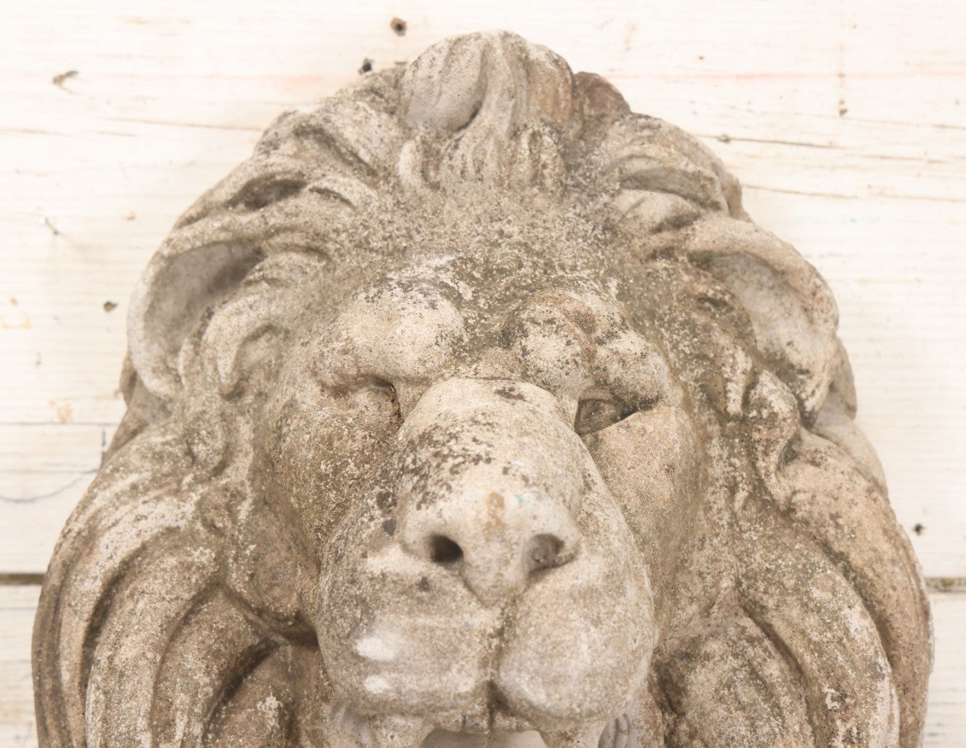 Lot 013 - Vintage Cast Cement Roaring Lion Head With Natural Patina, Thick Gauge Wire Hanger On Back, 10" x 16"