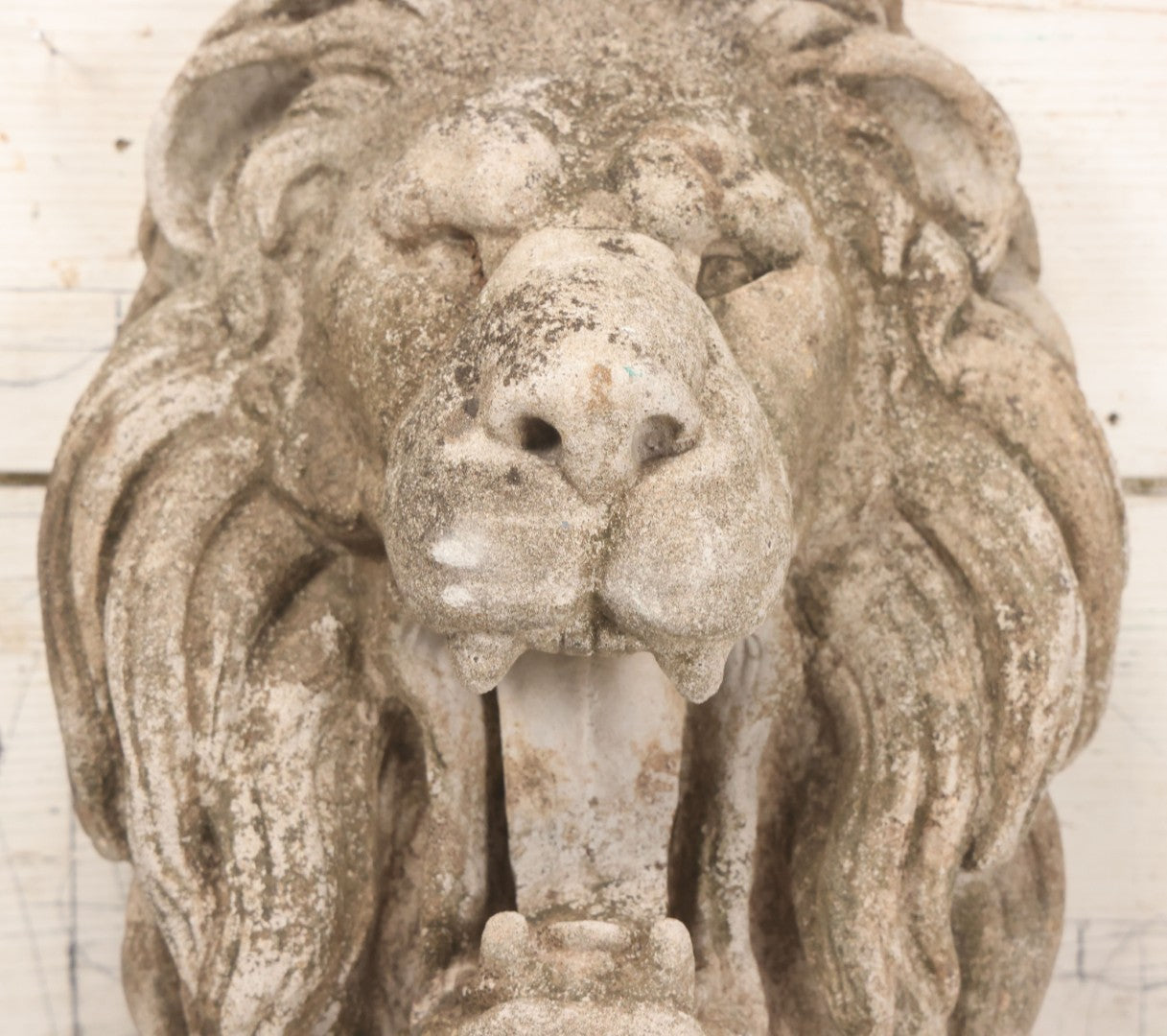 Lot 013 - Vintage Cast Cement Roaring Lion Head With Natural Patina, Thick Gauge Wire Hanger On Back, 10" x 16"