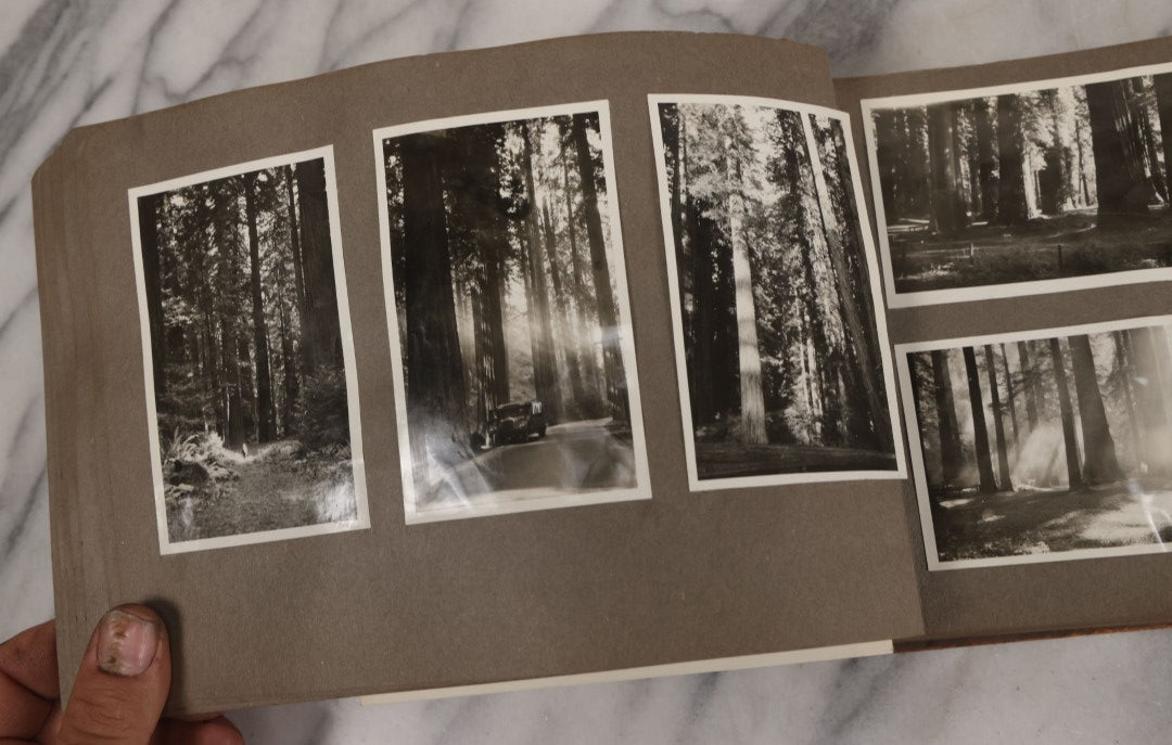 Lot 062 - Vintage Snapshot Photo Album With 125+ Photographs Including Photos Of Spirit Of St. Louis Plane, Redwood Forest, Automobiles, Outings, Comic Wedding Posters, Statue Of Liberty, Beachwear, And More