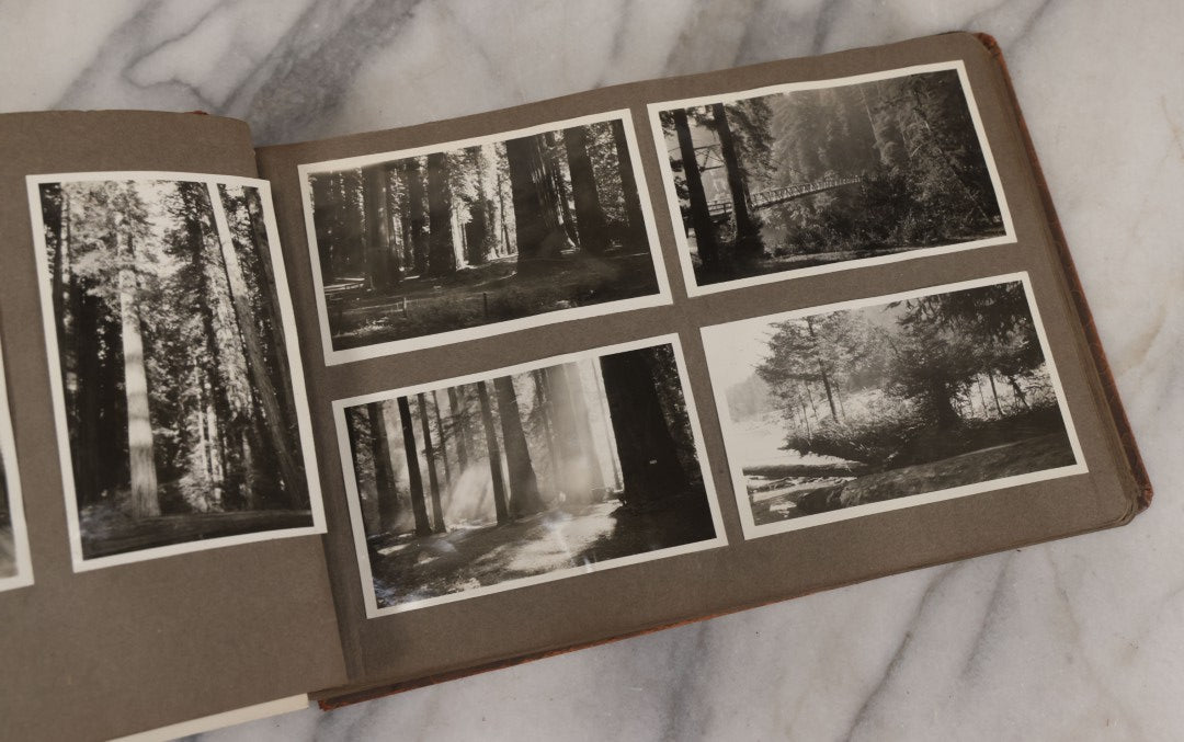 Lot 062 - Vintage Snapshot Photo Album With 125+ Photographs Including Photos Of Spirit Of St. Louis Plane, Redwood Forest, Automobiles, Outings, Comic Wedding Posters, Statue Of Liberty, Beachwear, And More