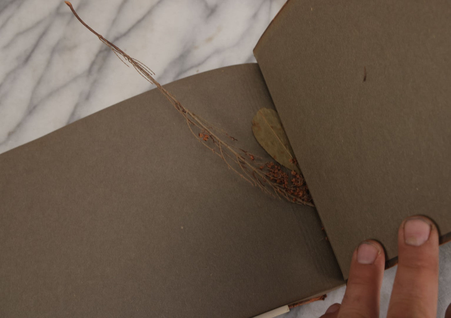 Lot 062 - Vintage Snapshot Photo Album With 125+ Photographs Including Photos Of Spirit Of St. Louis Plane, Redwood Forest, Automobiles, Outings, Comic Wedding Posters, Statue Of Liberty, Beachwear, And More