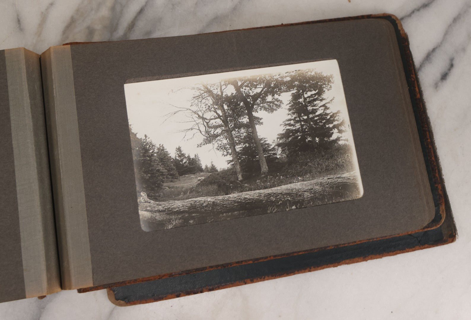 Lot 063 - Antique Snapshot Photo Album With 24 Photographs Of Turn Of The Century Coastal Towns And Farms With Group Photos Of Beach And Other Outings, Likely Maine, New England, Note Cover Detached
