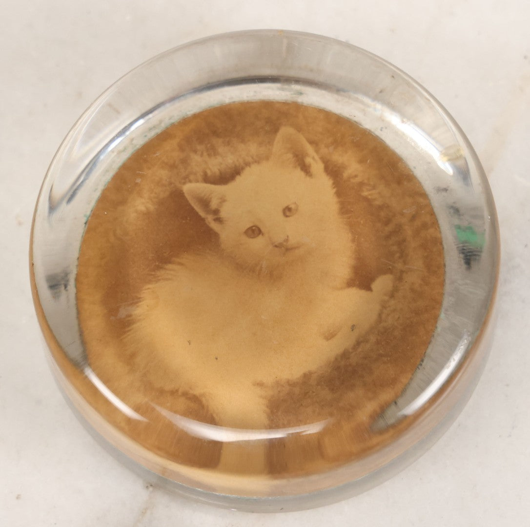 Lot 041 - Antique Glass Paperweight With Mounted Photograph Of White Kitten, 3" Diameter