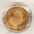 Lot 041 - Antique Glass Paperweight With Mounted Photograph Of White Kitten, 3" Diameter