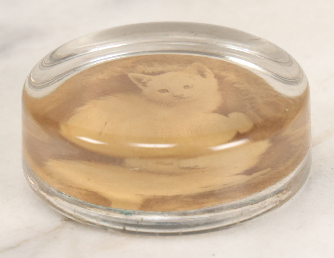 Lot 041 - Antique Glass Paperweight With Mounted Photograph Of White Kitten, 3" Diameter