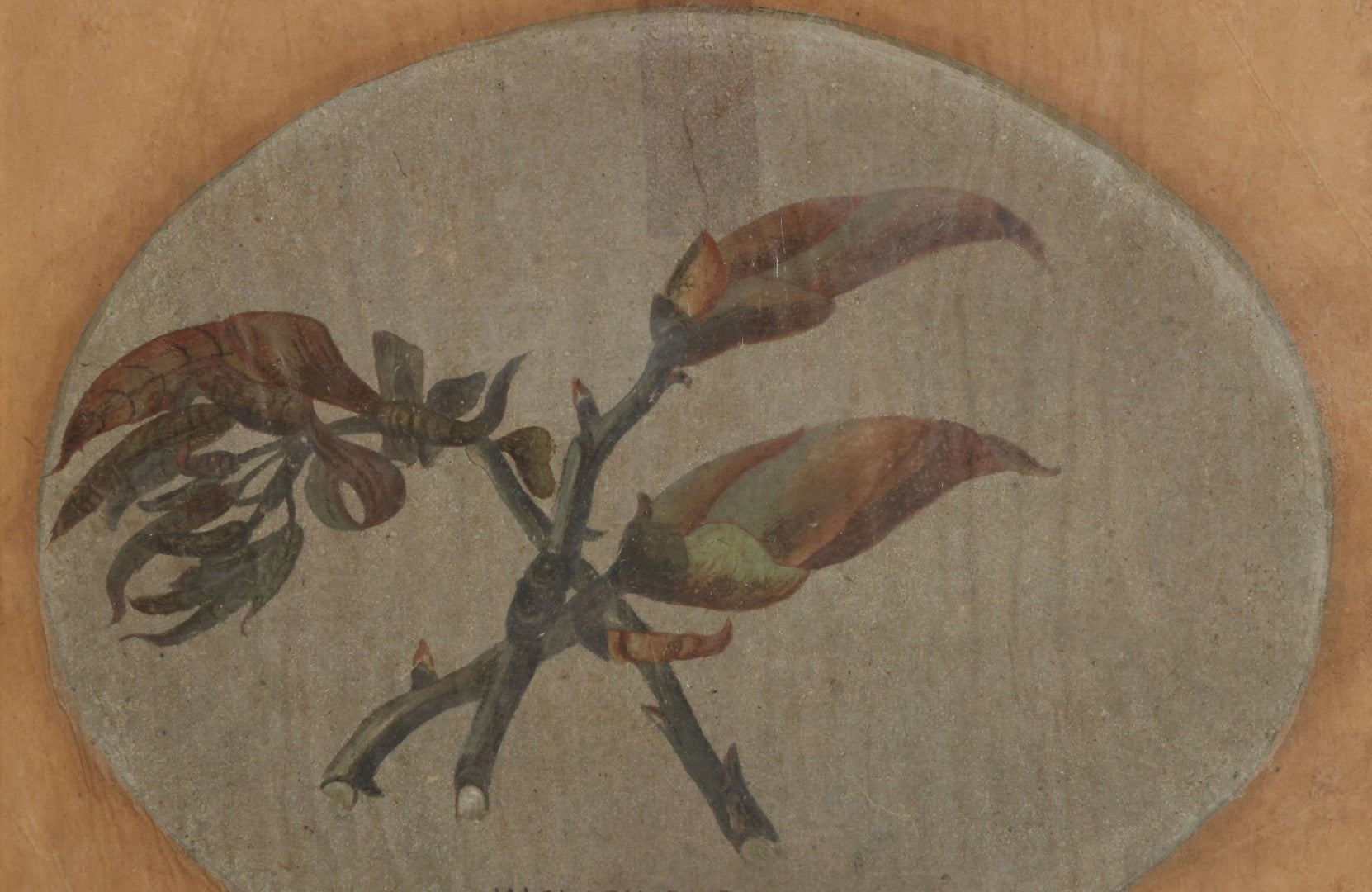 Lot 053 - Antique Hickory Buds Botanical Painting By David Clarkson East (Born Feb 27th, 1833), Painted On May 17th, 1873, In Frame With Provenance On Verso, 10-3/8" W x 8-3/8" H