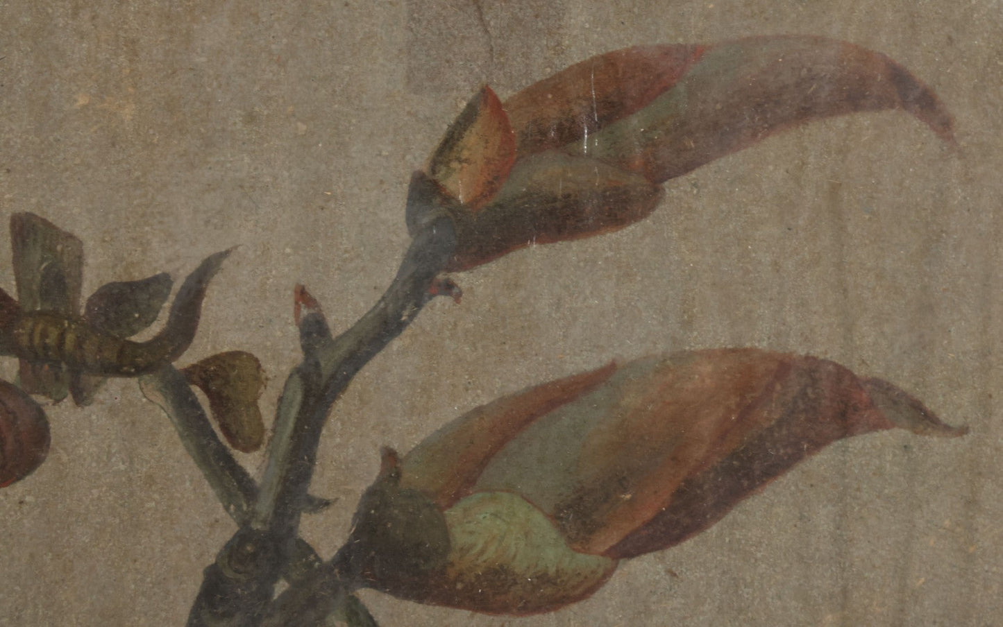 Lot 053 - Antique Hickory Buds Botanical Painting By David Clarkson East (Born Feb 27th, 1833), Painted On May 17th, 1873, In Frame With Provenance On Verso, 10-3/8" W x 8-3/8" H