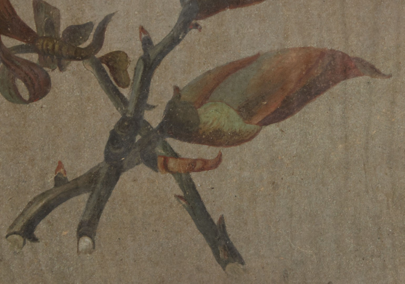 Lot 053 - Antique Hickory Buds Botanical Painting By David Clarkson East (Born Feb 27th, 1833), Painted On May 17th, 1873, In Frame With Provenance On Verso, 10-3/8" W x 8-3/8" H