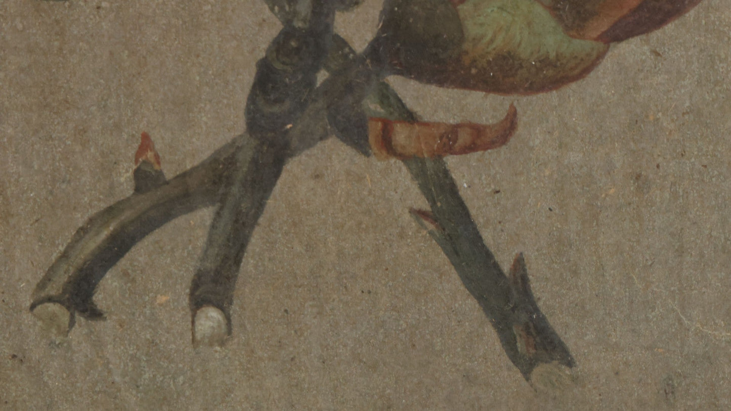 Lot 053 - Antique Hickory Buds Botanical Painting By David Clarkson East (Born Feb 27th, 1833), Painted On May 17th, 1873, In Frame With Provenance On Verso, 10-3/8" W x 8-3/8" H