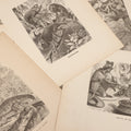 Lot 061 - Grouping Of Fifteen Antique Animal Kingdom Bookplate Engraving Prints By K. Jahrmargt After Gustav Mützel Including Anaconda, Cobra, Crocodiles, Chameleons, And Many Other Animals, Insects And Fish