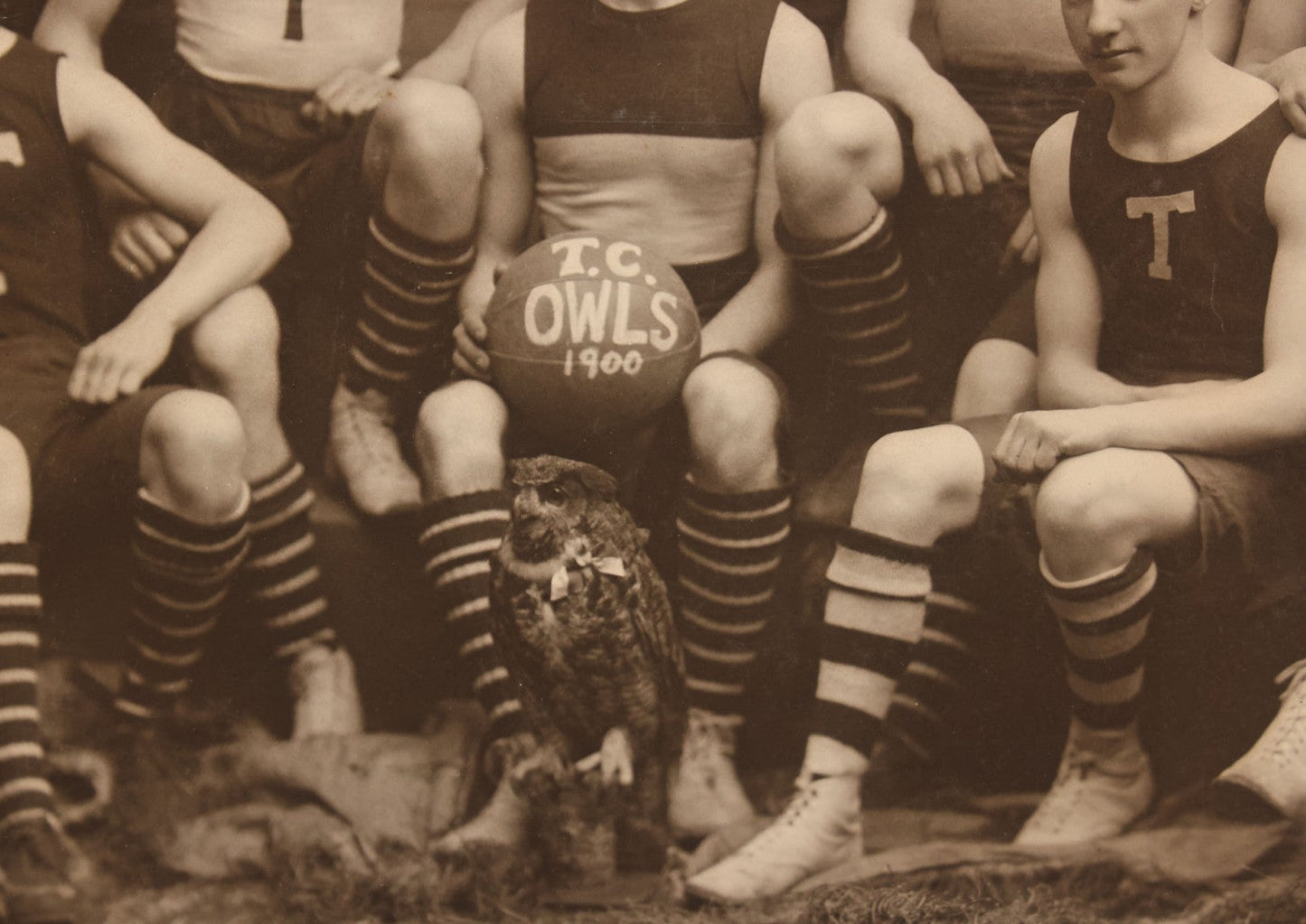 Lot 078 - Antique Boarded Photograph Of High School Basketball Team, The T.C. Owls, Posing With Owl Mascot, In Handmade Jerseys, 1900, F. Gutekunst, Photographer, Philadelphia, Pennsylvania