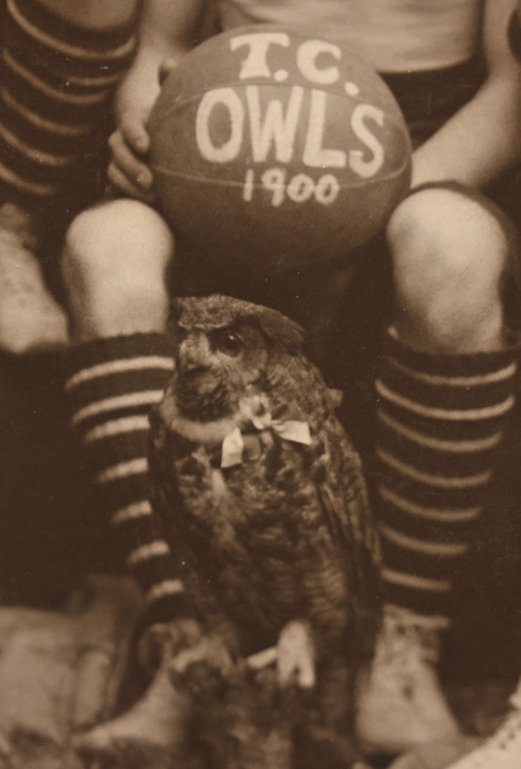 Lot 078 - Antique Boarded Photograph Of High School Basketball Team, The T.C. Owls, Posing With Owl Mascot, In Handmade Jerseys, 1900, F. Gutekunst, Photographer, Philadelphia, Pennsylvania
