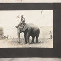 Lot 080 - Vintage Snapshot Photo Album Page With A Photo Of Circus Worker Seated Atop An Elephant's Head, Other Photos On Verso