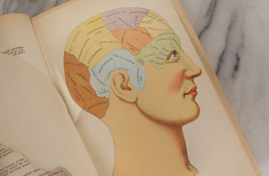 Lot 103 - "Vitalogy, An Encyclopedia Of Health And Home" Vintage Medical Book By E.H. Ruddock, M.D., Illustrated With Naturally Colored Fold Out Manikins And Colored And Half-Dashed Tone Plates, Published By Vitalogy Association, Chicago, Illinois, 1932