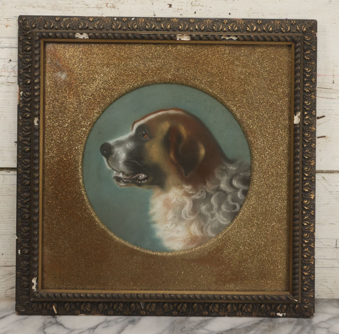 Lot 004 - Antique Late 19th Century Pastel Portrait Painting Of Saint Bernard Dog With Thick Gold Glitter Mat And Molded Gesso Frame, 18-1/2" x 18-1/2"
