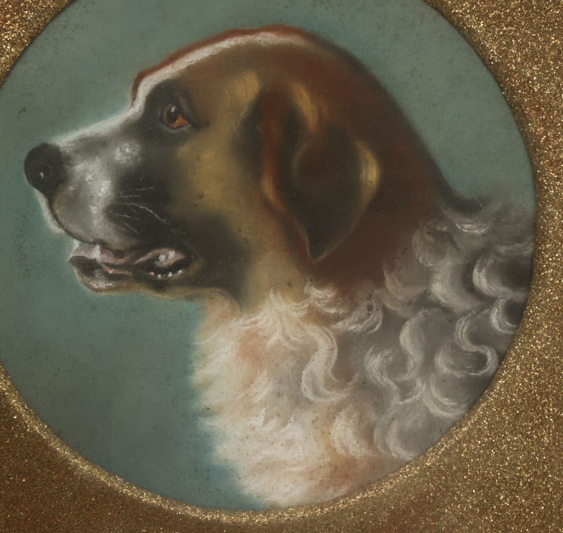 Lot 004 - Antique Late 19th Century Pastel Portrait Painting Of Saint Bernard Dog With Thick Gold Glitter Mat And Molded Gesso Frame, 18-1/2" x 18-1/2"