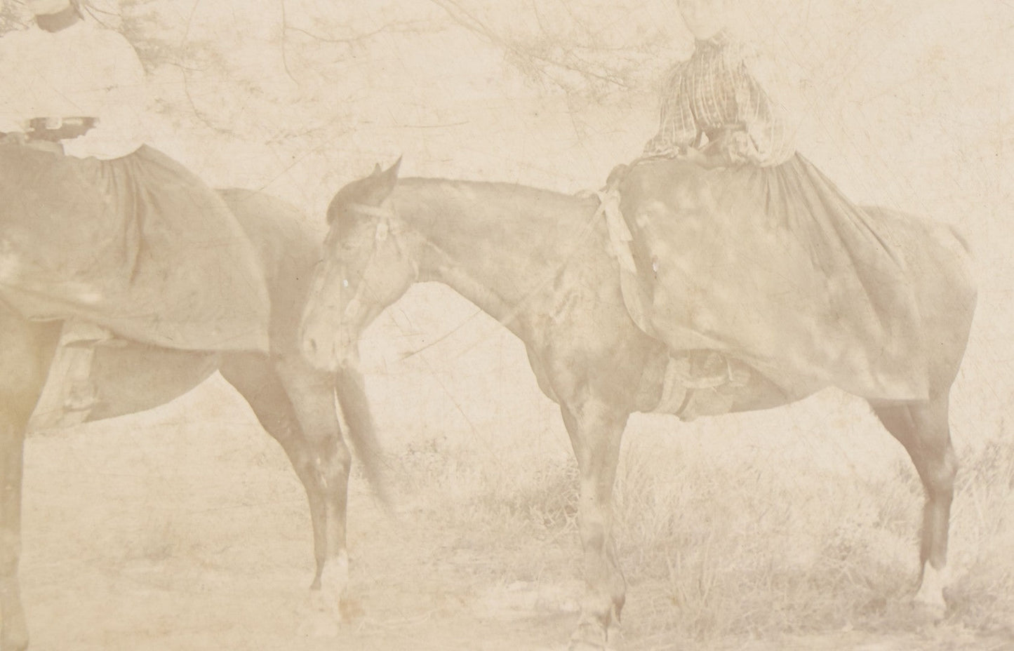 Lot 144 - Antique Boarded Photograph Of Two L.A. Cowgirls, Women Riding Horseback, Photographed By The Garden City Photo Co., Los Angeles, California, Photo No. 16504