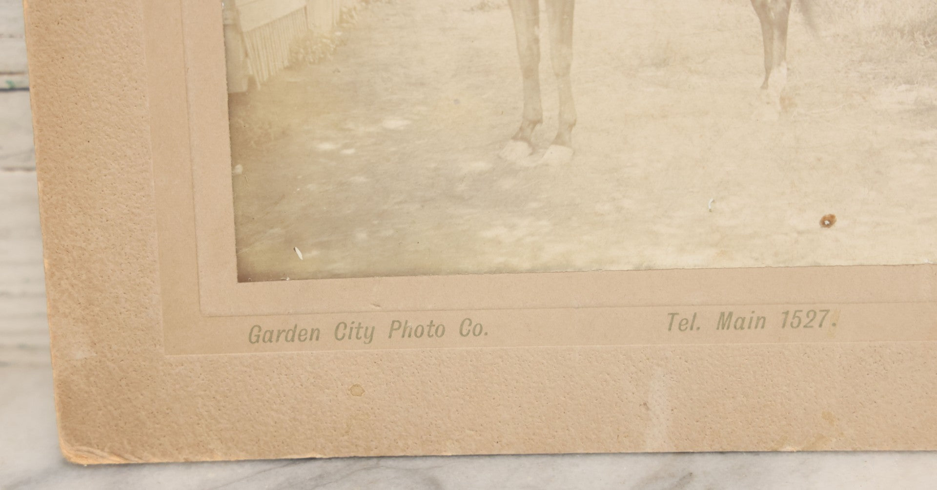 Lot 144 - Antique Boarded Photograph Of Two L.A. Cowgirls, Women Riding Horseback, Photographed By The Garden City Photo Co., Los Angeles, California, Photo No. 16504
