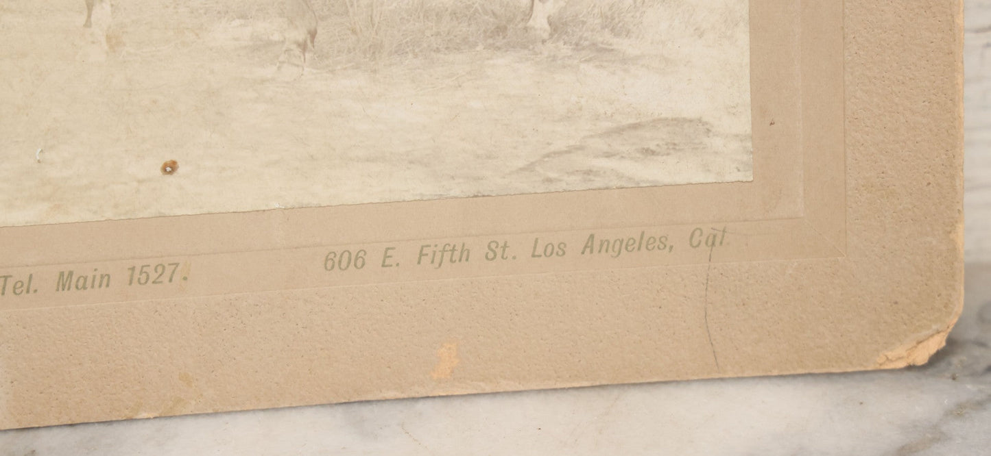 Lot 144 - Antique Boarded Photograph Of Two L.A. Cowgirls, Women Riding Horseback, Photographed By The Garden City Photo Co., Los Angeles, California, Photo No. 16504