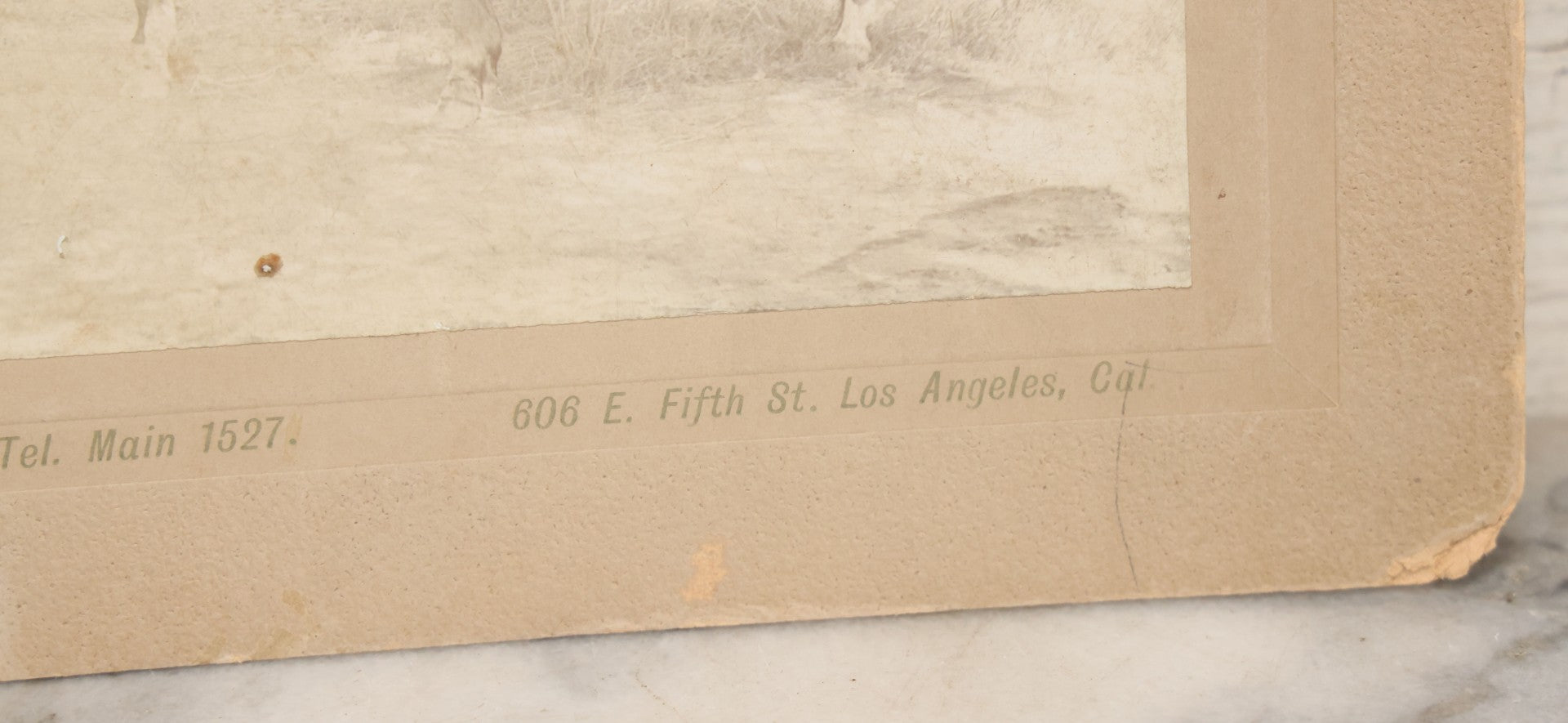 Lot 144 - Antique Boarded Photograph Of Two L.A. Cowgirls, Women Riding Horseback, Photographed By The Garden City Photo Co., Los Angeles, California, Photo No. 16504