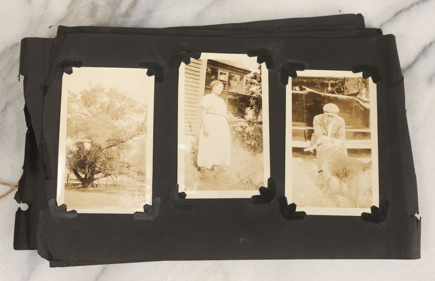 Lot 010 - Antique Vernacular Snapshot Photo Album With 90+ Photographs Circa 1910-1920, Including Baseball Player, Woman Posing With Flag, Bartenders, Many Dogs And Pets, And More