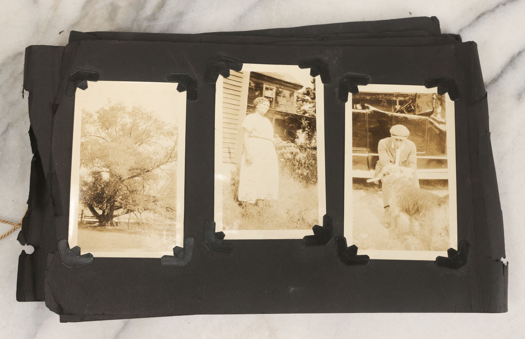 Lot 010 - Antique Vernacular Snapshot Photo Album With 90+ Photographs Circa 1910-1920, Including Baseball Player, Woman Posing With Flag, Bartenders, Many Dogs And Pets, And More