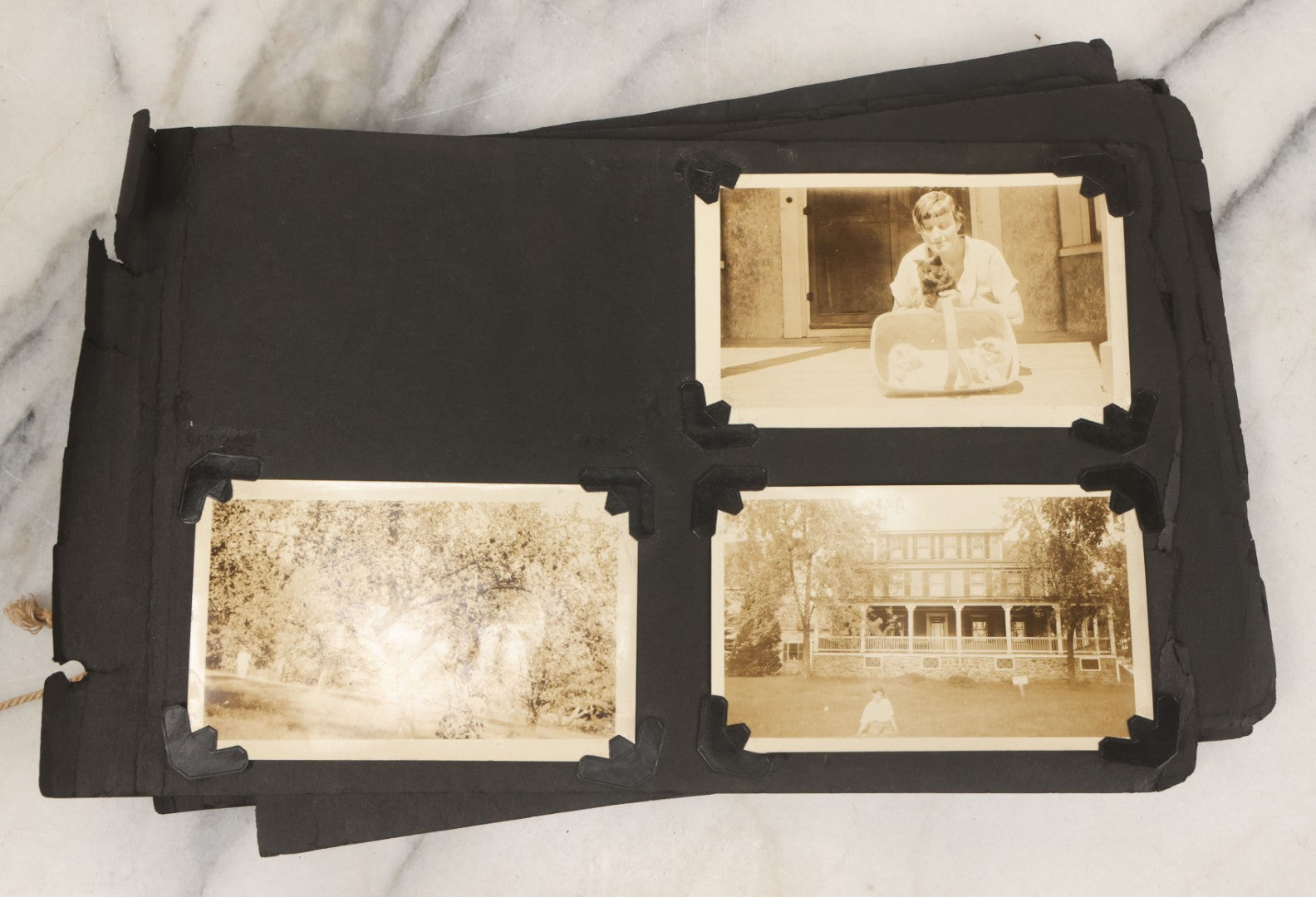 Lot 010 - Antique Vernacular Snapshot Photo Album With 90+ Photographs Circa 1910-1920, Including Baseball Player, Woman Posing With Flag, Bartenders, Many Dogs And Pets, And More